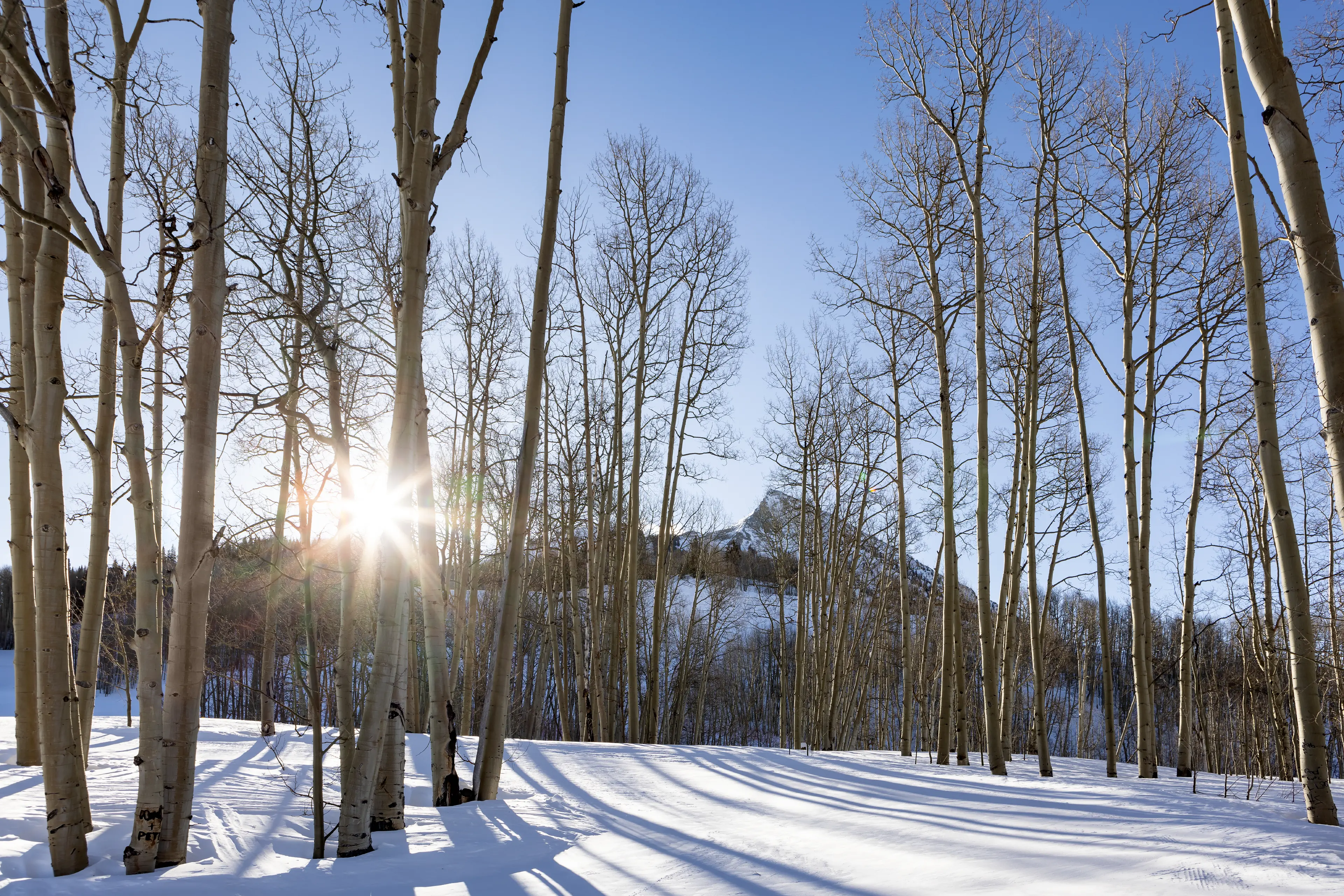 Elevation-Resort-Mountain-Sunburst_3840x2561_G_90_Long Edge Portfolio_auto